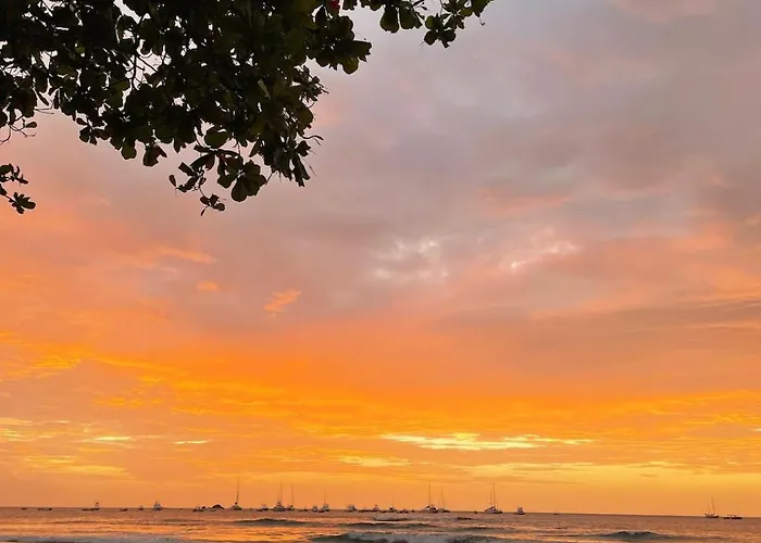 On The * Tamarindo